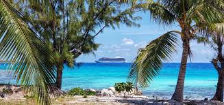 A beach with palm trees and a cruise ship in the background.